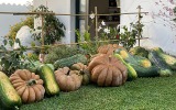 La Limonaia Shop Sorrento